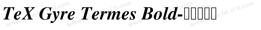 TeX Gyre Termes Bold字体转换